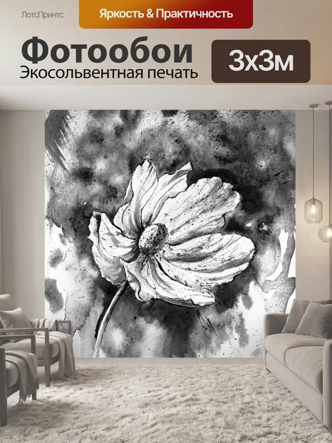 Фотообои Черное и белое