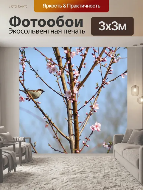 Фотообои Воробей