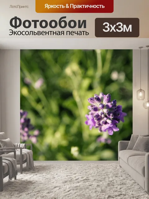 Фотообои Лаванда