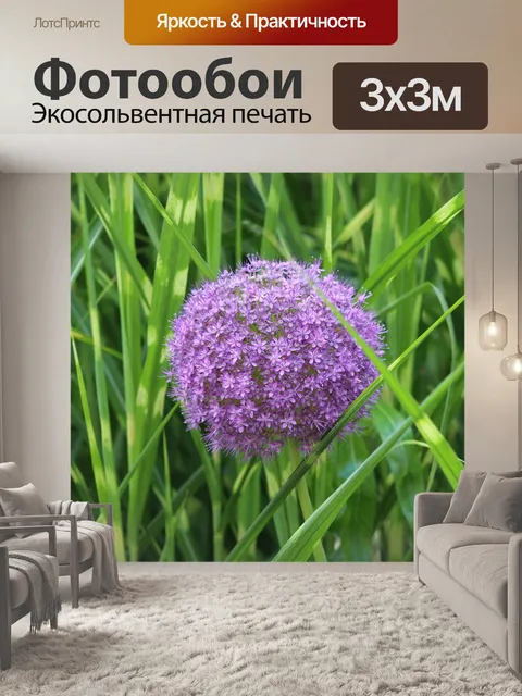 Фотообои Цветы