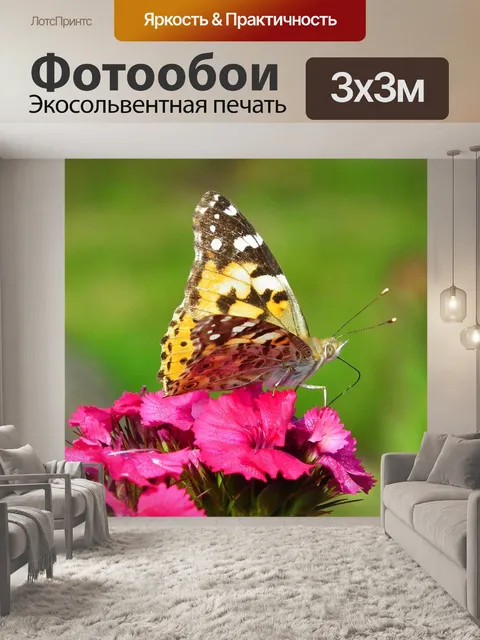 Фотообои Бабочка
