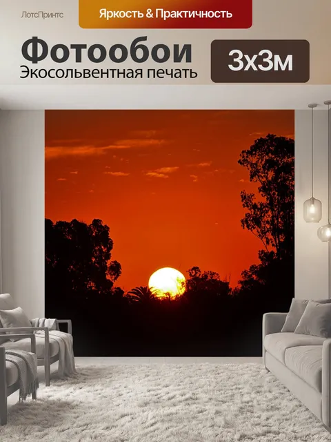 Фотообои Солнце