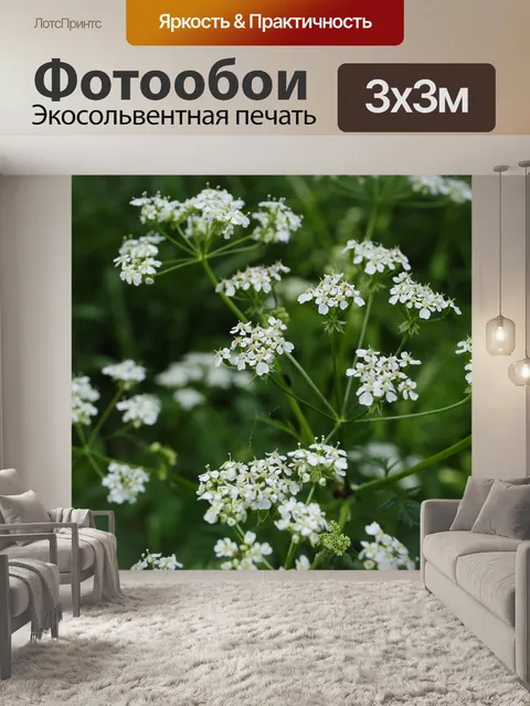 Фотообои Цветок