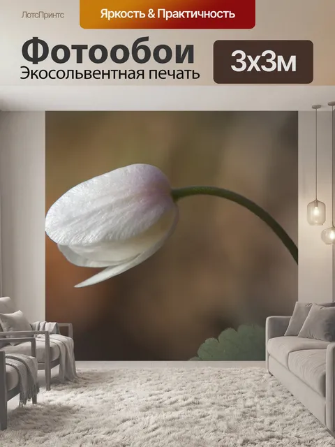 Фотообои Древесные анемоны