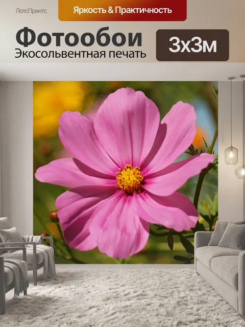 Фотообои Розовый космос