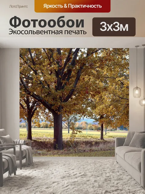 Фотообои Проспект