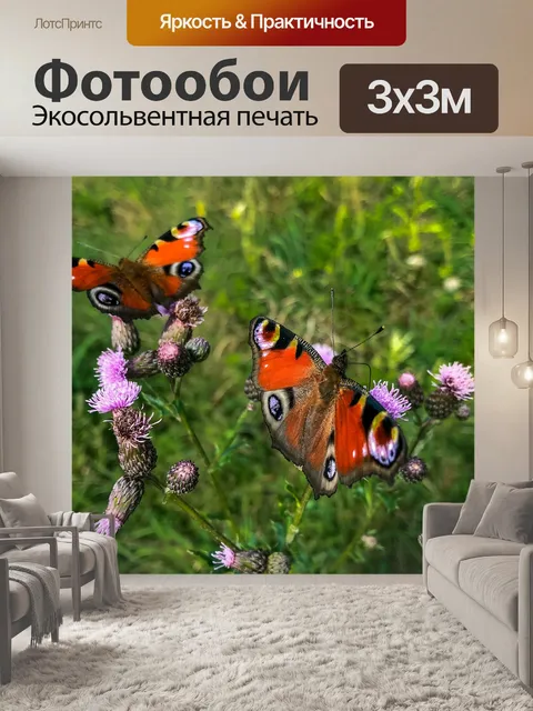 Фотообои Бабочки