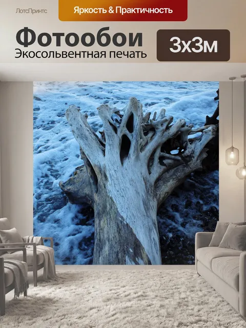 Фотообои Коряги