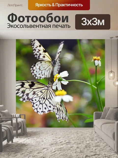 Фотообои Бабочки