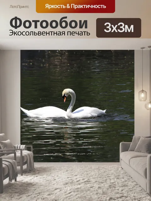 Фотообои Лебеди