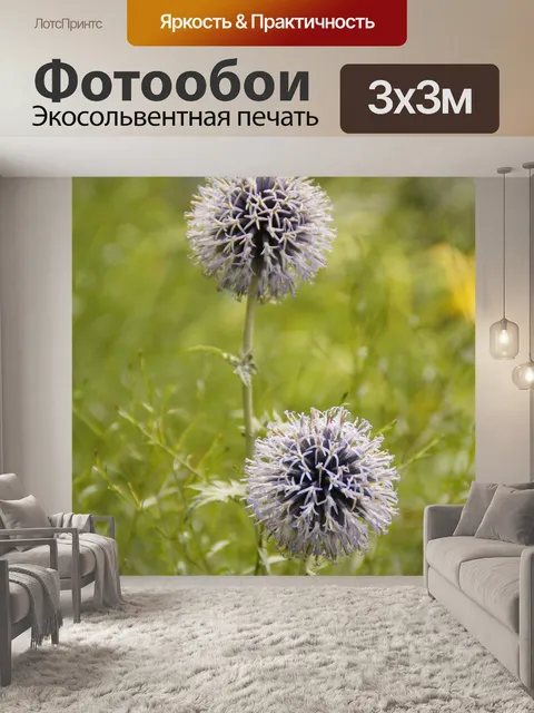 Фотообои Цветок