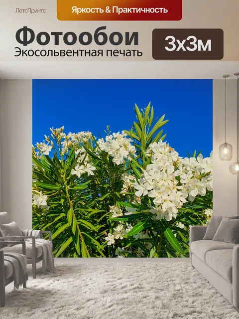 Фотообои Цветы олеандра