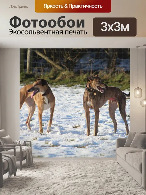 Фотообои Собаки