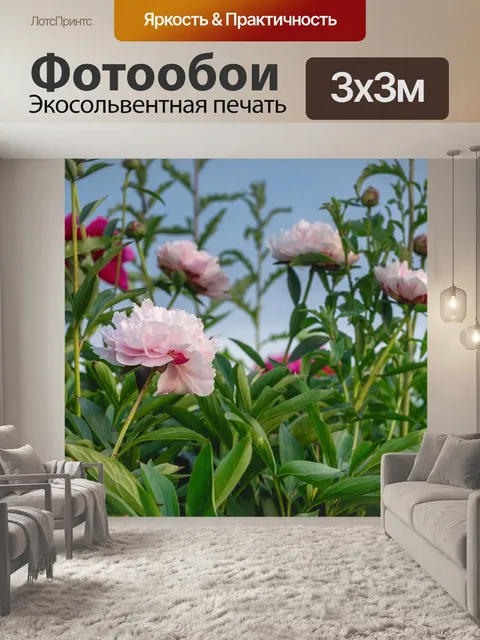 Фотообои Пионы