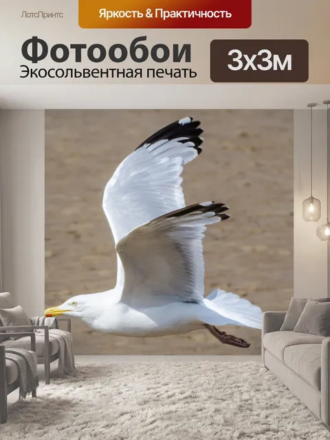 Фотообои Чайка