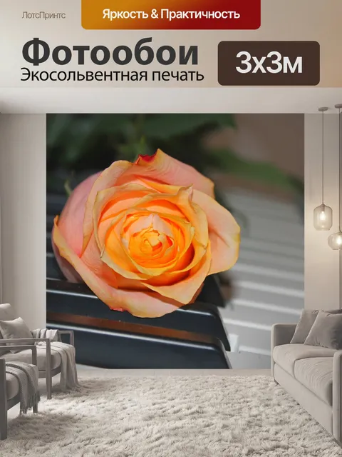 Фотообои Роза