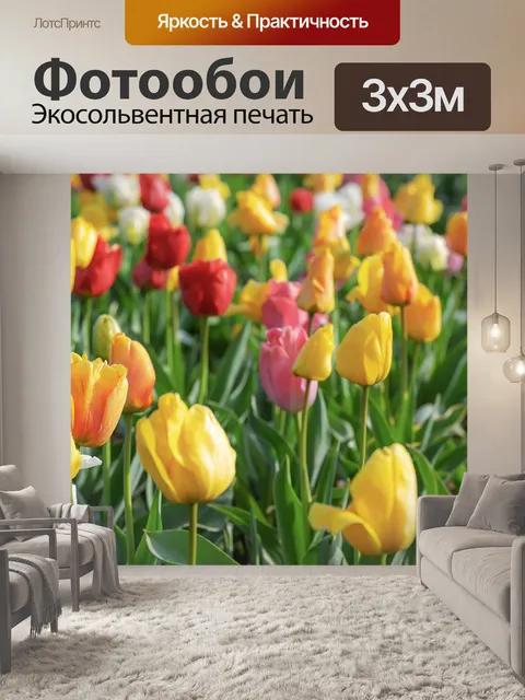 Фотообои Тюльпаны