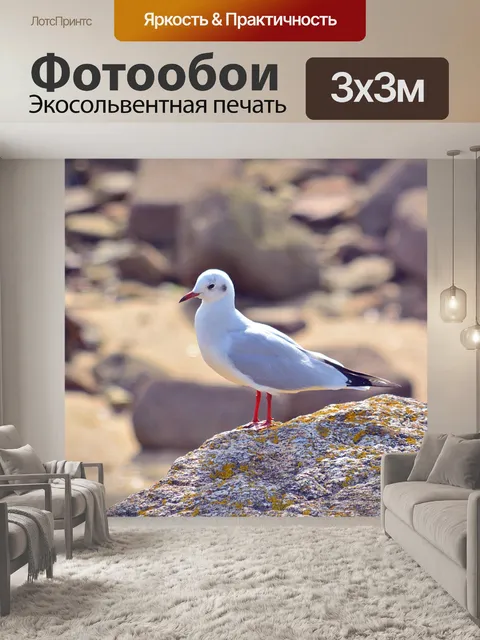 Фотообои Черная голова