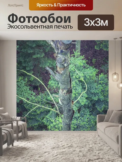 Фотообои Дерево