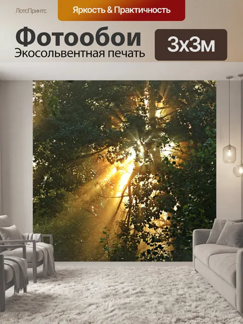 Фотообои Дорожка