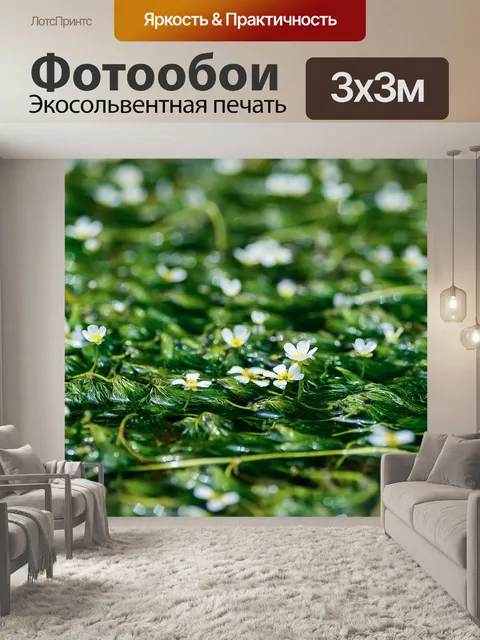 Фотообои Цветы