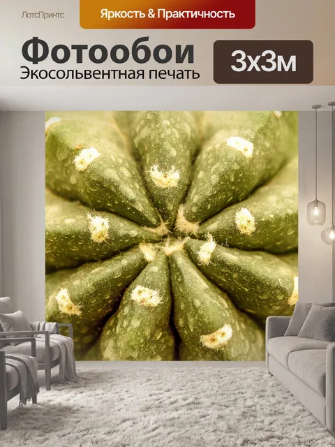 Фотообои Кактус пустынное растение