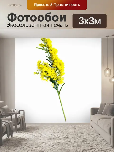 Фотообои изобразите мимозу в стиле минимализма
