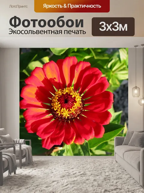 Фотообои Сад