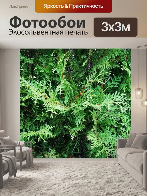 Фотообои Дерево