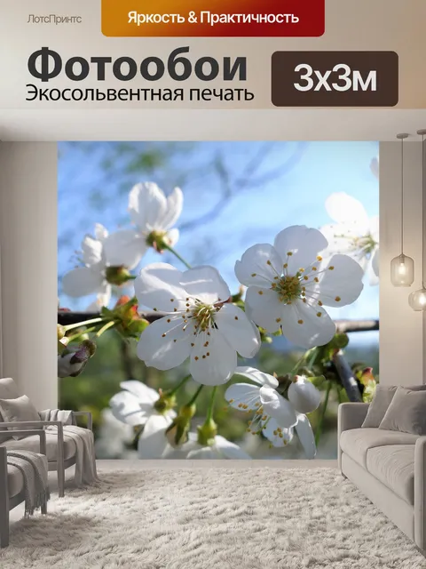 Фотообои Цветы
