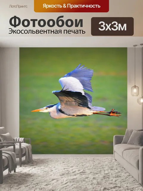 Фотообои Птица