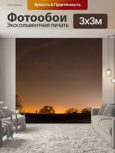 Фотообои Деревья