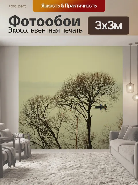 Фотообои Туман