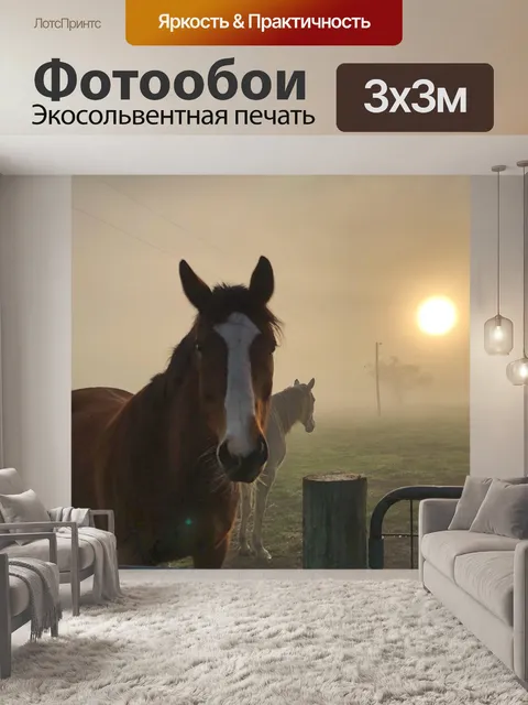 Фотообои Лошадь