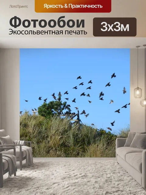 Фотообои Птицы