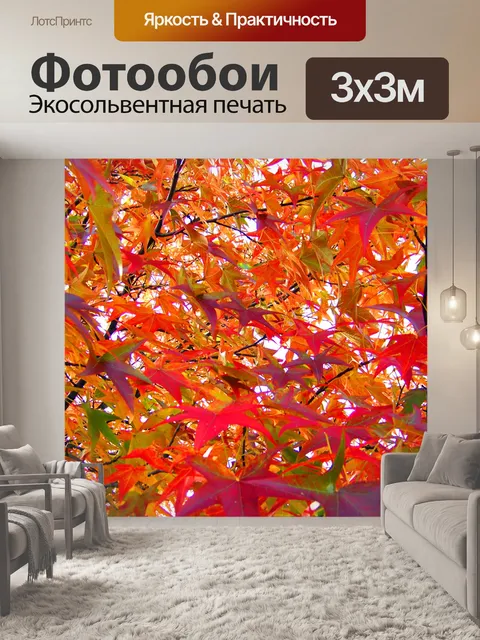 Фотообои Осенние листья