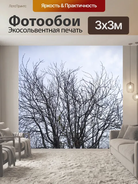 Фотообои Дерево