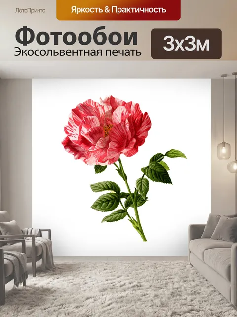 Фотообои Роза