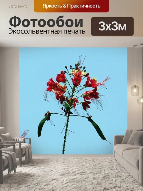 Фотообои Цветок павлина