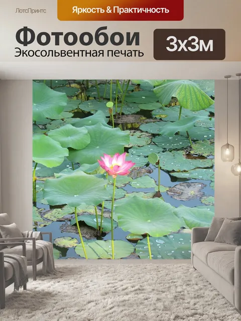 Фотообои Цветок