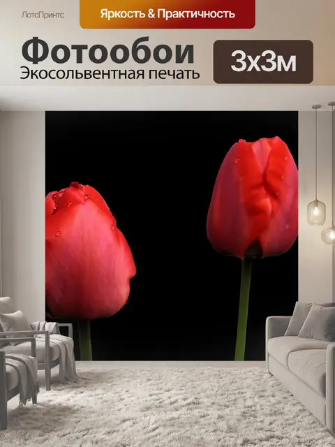 Фотообои Тюльпаны