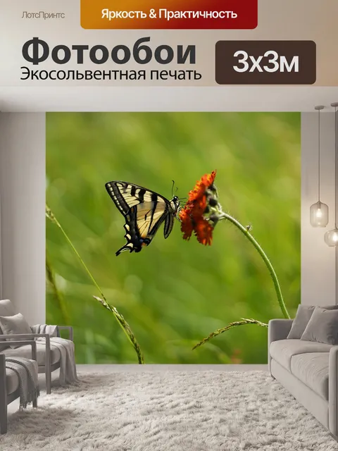 Фотообои Бабочка