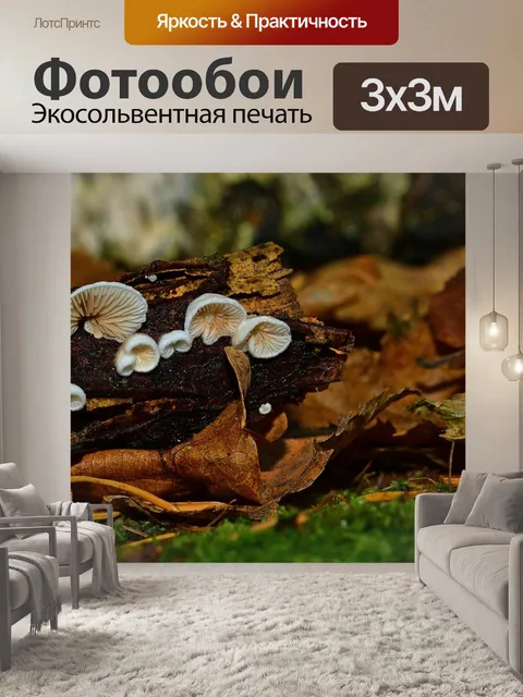 Фотообои Лес