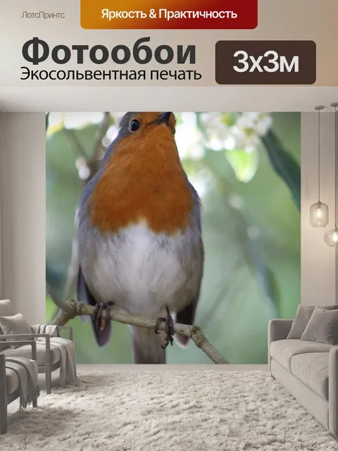 Фотообои Птицы