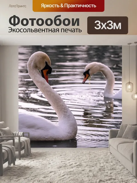 Фотообои Лебеди