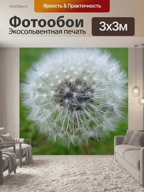 Фотообои Одуванчик