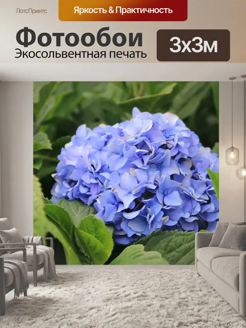 Фотообои Гортензии