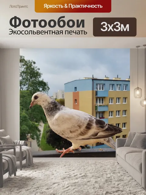 Фотообои Птицы