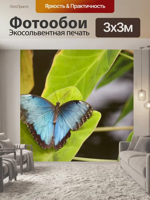 Фотообои Бабочка
