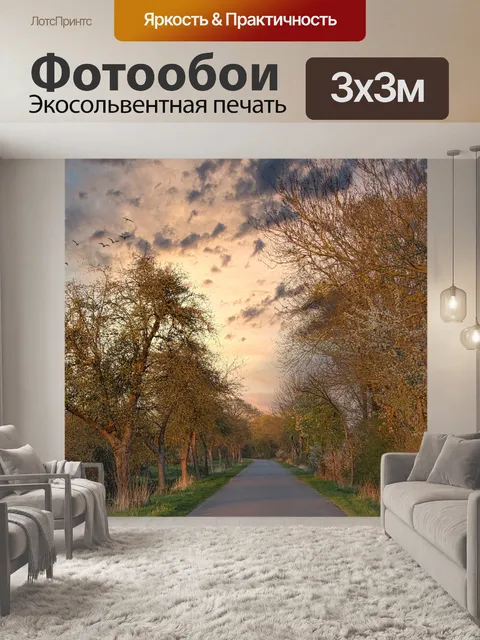 Фотообои Дорога